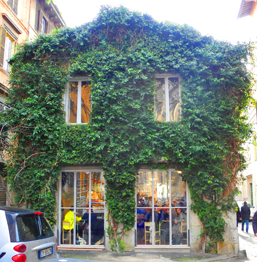 Facciata a vite americana