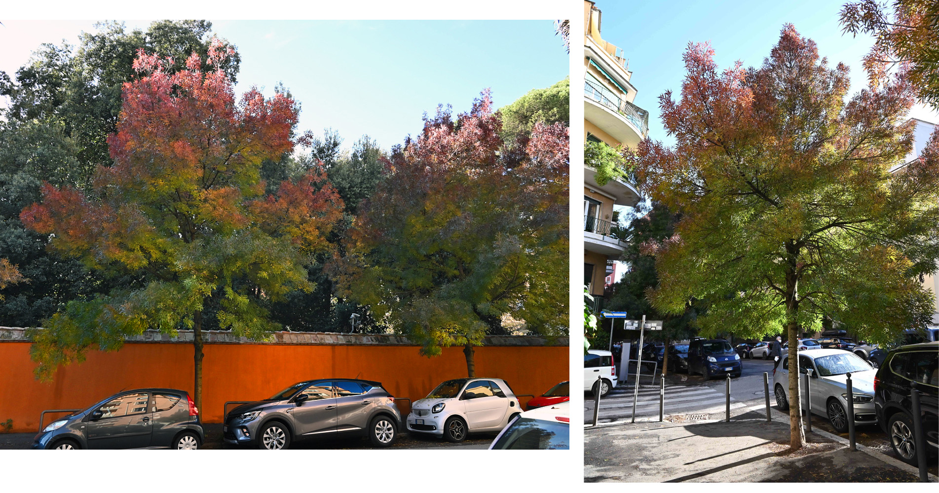 Foto di via di Novella