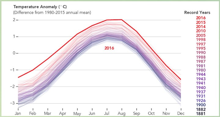 Temperature Anomaly