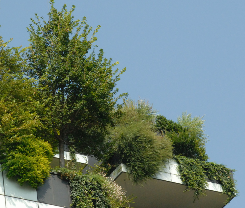 Giardino pensile a Milano