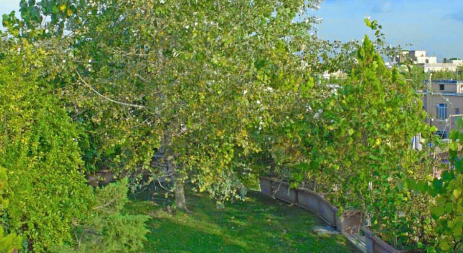 giardino pensile leggero giardino pensile leggero