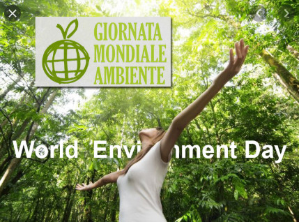 World Environment Day World Environment Day